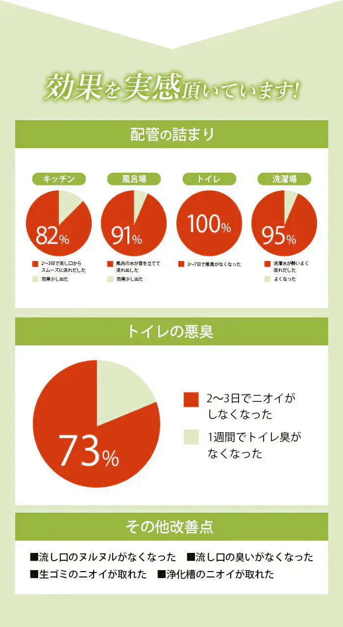 【ヌメリや悪臭を強力に解消】排水口 ヌメリ取り 洗剤 排水溝 排水管 パイプクリーナー パイプ洗浄剤 掃除 ニオイ 匂い対策 / えひめAI-1