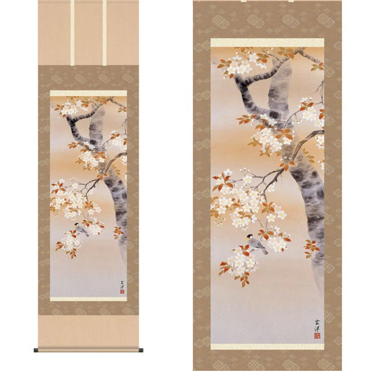 掛軸「桜花に小鳥」近藤玄洋筆 [ 収納箱 31×89 10年保証 桜 陽春 和 季節掛 国内産 十年間表装品質保証付 受注生産 床の間 和風 掛け軸 日本製 名画 縁起物 プレゼント 画寸 送料無料 ]