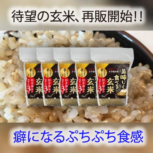 5kg 山口県産 美味しく食べる 玄米
