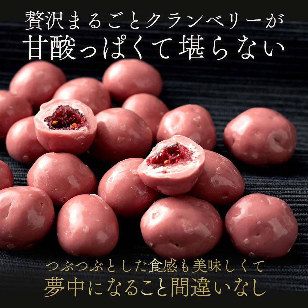 【チョコ常温販売期間終了】  チョコレート チョコ 　ルビーチョコ掛けクランベリー Rubi de Cranbery 200g ルビーチョコ 第4のチョコレート スイーツ ドライフルーツ クランベリー 大量 業務用