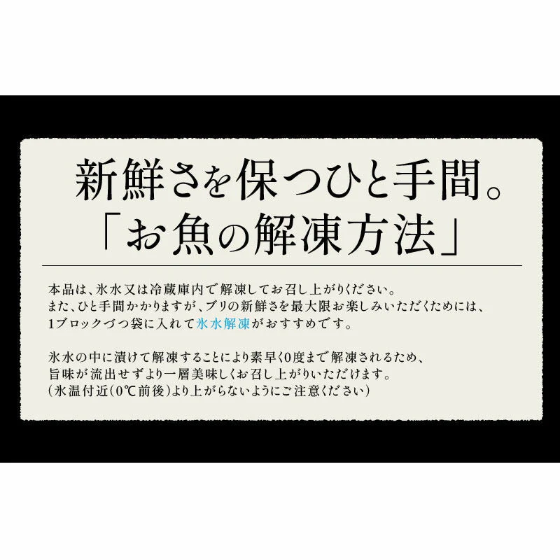 ぶり 刺身 ブリ ロイン 1kg 超冷薫 業務用 愛媛県産 鰤 海鮮 お刺身 刺し身 柵 さくさしみ 切り身 お取り寄せ グルメ 寿司 和食 ブリしゃぶ 海鮮 冷凍