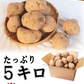 岩手県産 じゃがいも 5kg 無農薬栽培 きたあかり