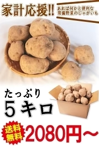 岩手県産 じゃがいも 5kg 無農薬栽培 きたあかり