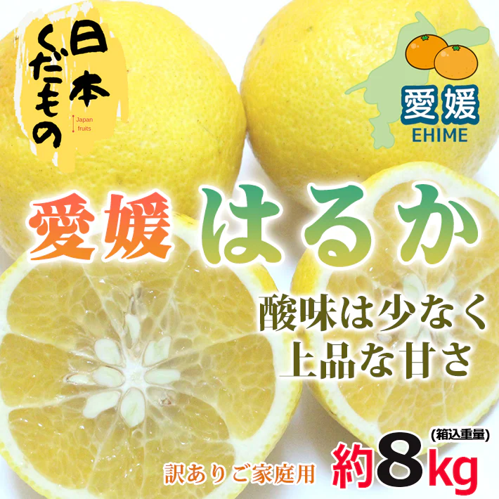 愛媛県産 はるか 8kg 訳あり家庭用 柑橘