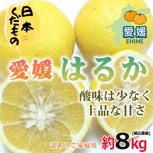 愛媛県産 はるか 8kg 訳あり家庭用 柑橘