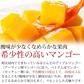 プレミアムマンゴー 無添加 冷凍 1kg 500g×2 カット済み