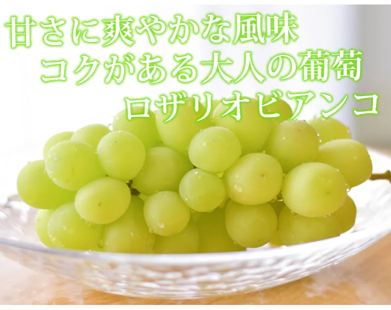 【9月上旬～中旬頃より順次出荷】ロザリオビアンコ ぶどう 送料無料 2kg 3～5房 〈クール便でお届け〉 福岡・熊本県産 シャインマスカット 葡萄 ブドウ