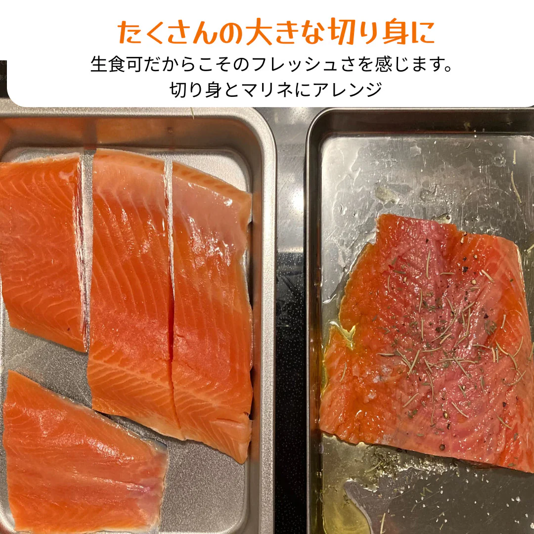 お刺身サーモン フィレ1枚(750g以上) トラウトサーモン 生食用