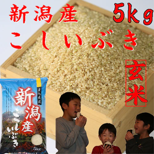 玄米 5kg 送料無料 お米５キロ 米 玄米 新潟産 こしいぶき 米 5kg (5kg×1袋) 玄米 5キロ 農家直送 お米 5キロ 玄米 美味しいお米 産地直送