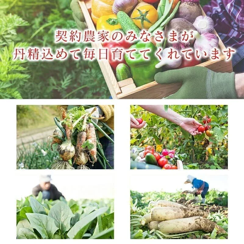 [みさわのやさい] サーモン ハラス 訳あり 切り落とし 600g（200gｘ3パック） 刺身用 冷凍 アトランティックサーモン or トラウトサーモン 生食用 切り身