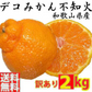 (2027年2月上旬頃から順次発送の予約販売) デコ みかん しらぬい 不知火 2kg 訳あり 和歌山みかん デコポン と同種 オレンジ