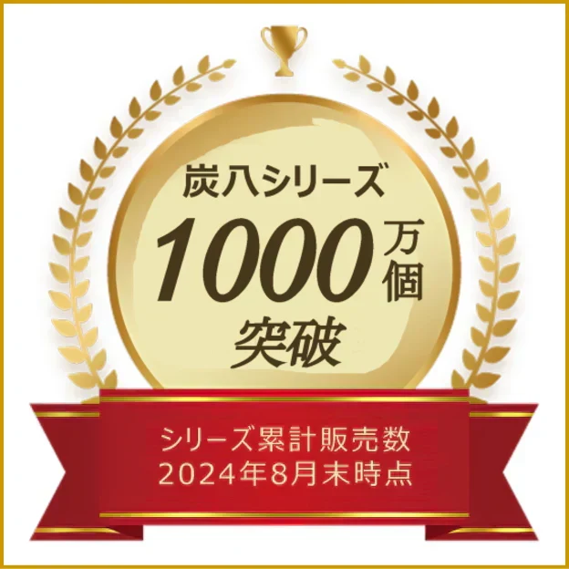 調湿木炭 炭八 スマート小袋 10個入
