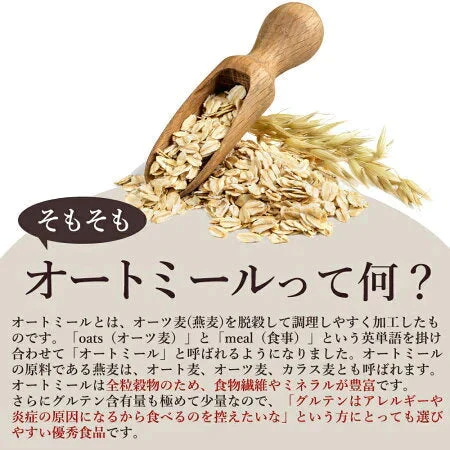 お試し 低糖質 スイーツ オートミール 送料無料【ケーキ屋さんの低糖質クッキー】ごろごろオートミールシリアルクッキー16枚  [ 置き換えダイエット ダイエット ロカボ スイーツ 食品 食物繊維 低糖質  ]