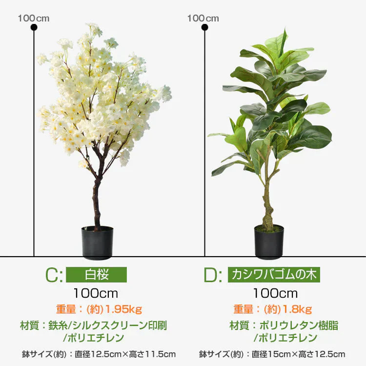 販売中止
