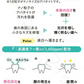 W & F 薬用ハミガキ CA-a[ホワイトニングペーストa]+CF-a[フッ素ジェルB] 各1本(50g) ベーシックセット(計2本100g) バイオアパタイト ホワイトニング【メール便送料無料】