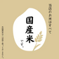 【今だけ増量】900g 研ぐお米 国内産単一原料米 300g×3個セット 小分け 2合パック×3 令和7年産 ゆうパケット発送 送料無料1005
