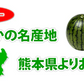 すいか 送料無料 訳あり スイカ 大玉すいか 1玉 約4.5kg～6kg M～L 熊本すいか お取り寄せ お取り寄せグルメ 熊本県産 すいか 西瓜 フルーツ