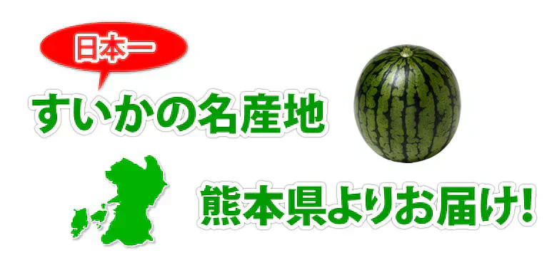 すいか 送料無料 訳あり スイカ 大玉すいか 1玉 約4.5kg～6kg M～L 熊本すいか お取り寄せ お取り寄せグルメ 熊本県産 すいか 西瓜 フルーツ