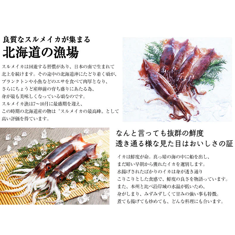 いかそーめん 6人前 2人前×3セット 北海道産 専用たれ付き