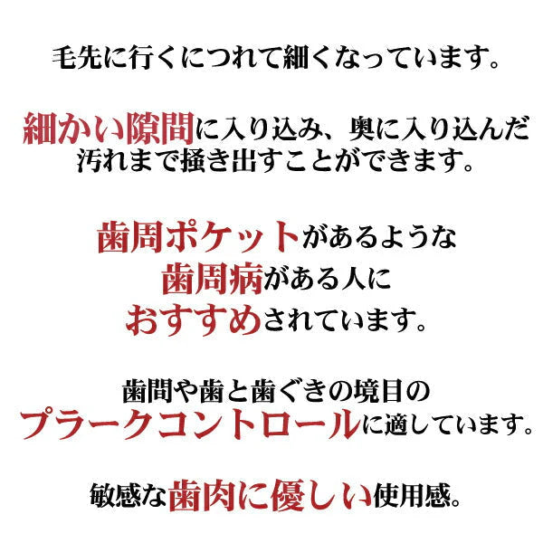 【最安値挑戦祭】Lover8(ラバーエイト) 歯ブラシ レギュラータイプ オールテーパー毛 Mふつう 30本入