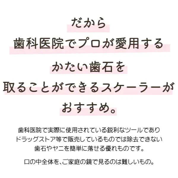 歯石取り 歯石除去 ヤニ取り 歯科専売 両頭鎌型スケーラー H5-33 1本 ／ 実際に歯科医院で使用されているプロ仕様！ 【メール便送料無料】