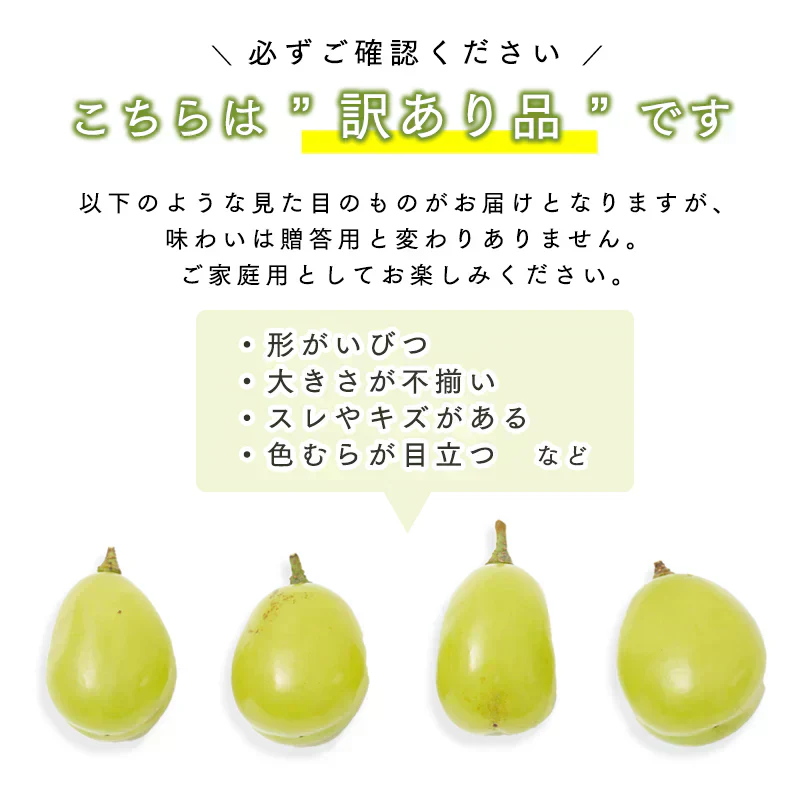 【 10月下旬頃発送予定】青森県産 家庭用 訳あり シャインマスカット 約600g バラ詰め