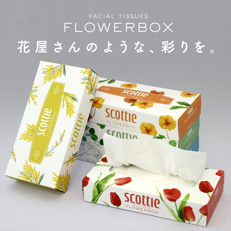 【カートアップNG】【60箱】日本製紙クレシア スコッティ ティシュー フラワーボックス 160組 5箱×12個セット【家計お助けSALE】