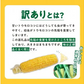 農家直送！メロンより甘い！博多あまっコーン4.5㎏【上部カット品】（約22本）（冷凍）