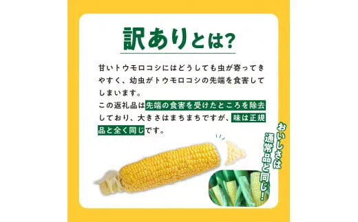 農家直送！メロンより甘い！博多あまっコーン4.5㎏【上部カット品】（約22本）（冷凍）