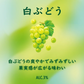 【送料無料】サントリー ほろよい 白ぶどう 350ml×2ケース/48本