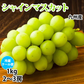 【8月中旬〜下旬頃より順次出荷】シャインマスカット ぶどう 送料無料 1kg 2〜3房