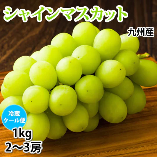 【8月中旬〜下旬頃より順次出荷】シャインマスカット ぶどう 送料無料 1kg 2〜3房
