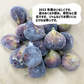 和歌山県産 冷凍いちじく 約１kg 2025年産 ジャム コンポート 訳あり 加工用 いちじく 冷凍