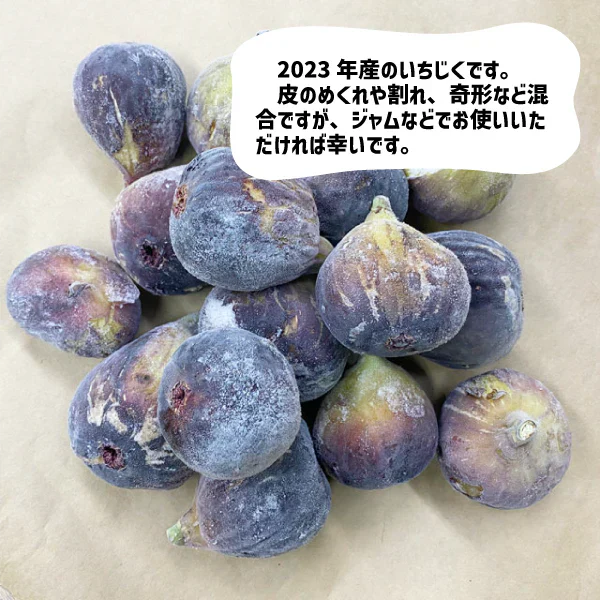 和歌山県産 冷凍いちじく 約１kg 2025年産 ジャム コンポート 訳あり 加工用 いちじく 冷凍