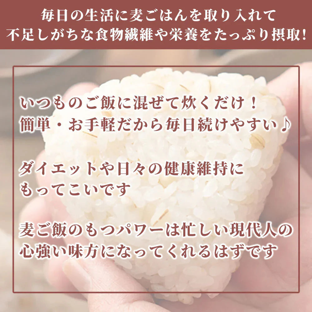 雑穀 雑穀米 国産 丸麦 400g お試しサイズ 無添加 無着色 送料無料 ダイエット食品 置き換えダイエット