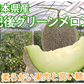 メロン 肥後グリーンメロン 送料無料 2玉 約3～4kg M～3L 熊本県産 肥後グリーン