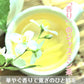 インスタントジャスミン茶40ｇ×2袋 ジャスミンティー 健康茶 健康  粉末 粉末茶 中国茶 茉莉花茶 茉莉花 水で溶ける 冷水で溶ける アイスティー ホット