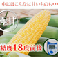 とうもろこし ゴールドラッシュ 送料無料 3.5～4kg 《クール便でお届け》 九州産 味来 極甘フルーツコーン スイートコーン 野菜