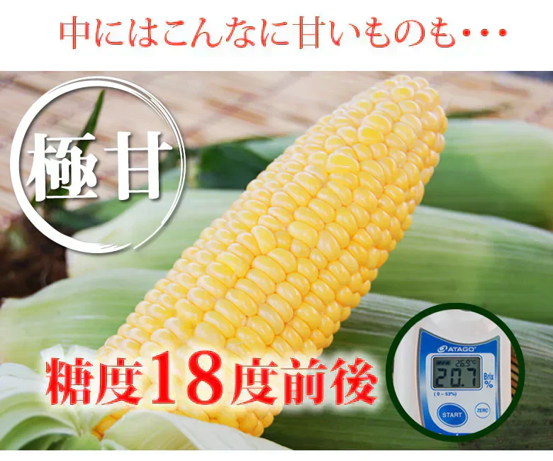 とうもろこし ゴールドラッシュ 送料無料 3.5～4kg 《クール便でお届け》 九州産 味来 極甘フルーツコーン スイートコーン 野菜