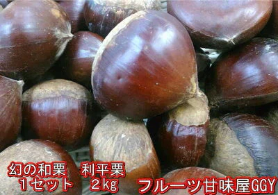 利平栗 訳あり  1箱(2kg) 2L,Lサイズ 熊本産 クール便  【9月下旬以降順次発送予定】60サイズ