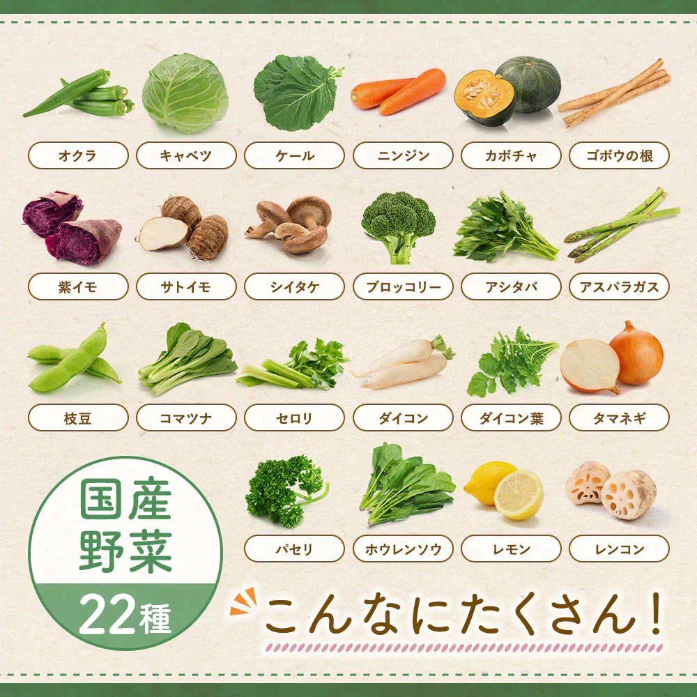 ぱくぱく野菜パウダー 22種類配合 70g×1袋