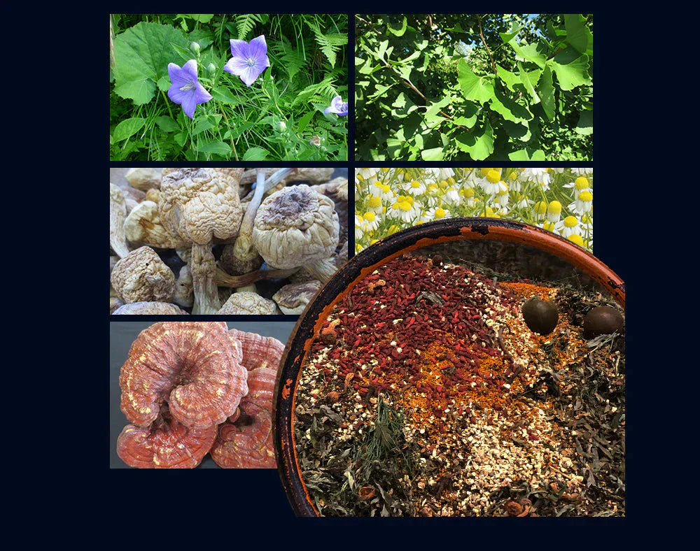 匠の野草酵素《約12ヶ月分》  送料無料 サプリ サプリメント 酵素 野草酵素 健康  スーパーフード 健康食品 野菜不足 乳酸菌 ダイエット 美容 ビタミン ビタミンC【大容量】