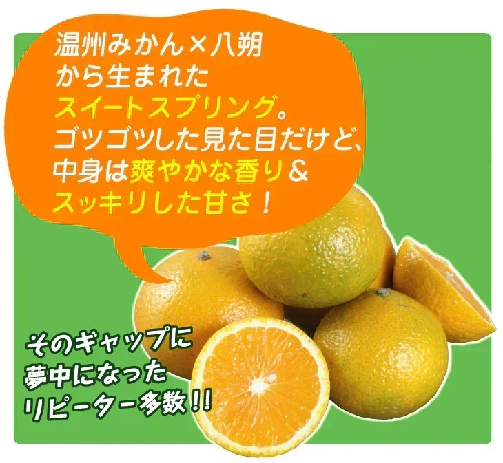 みかん 熊本産 スイートスプリング 10kg ご家庭用 (発送予定：2027年1月下旬より)