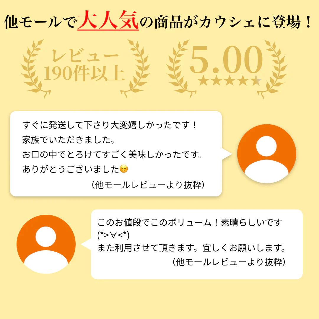 トロぶつ＆切り落し 訳ありセット １ｋｇずつ計２ｋｇ