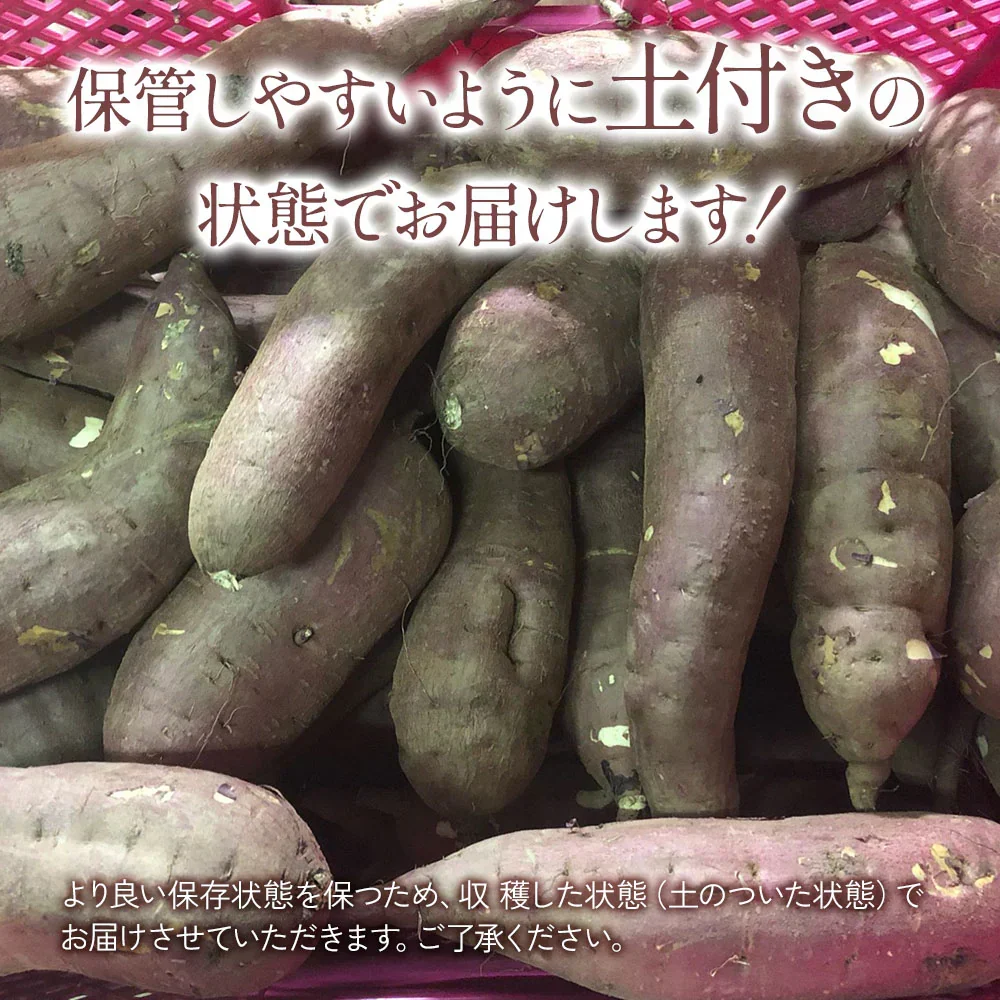 紅はるか さつまいも 5kg 産地直送 産直 土付き さつま芋 薩摩芋 焼きいも 焼き芋 石焼き芋 芋 いも イモ 南九州産  FJK-000
