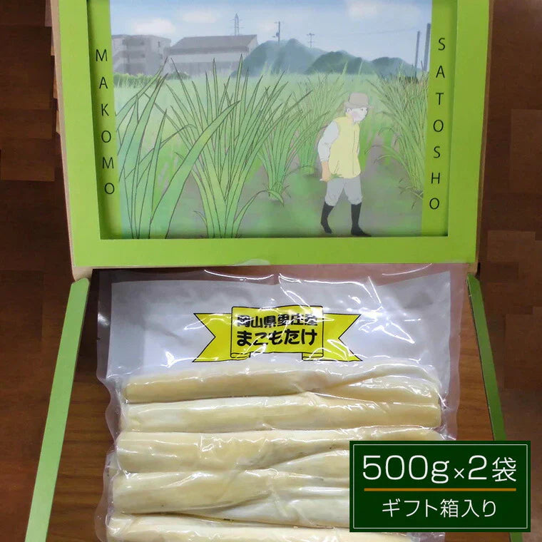 岡山県里庄産 無農薬栽培 マコモタケ（まこもたけ）真空パック 500g×2袋 ギフト箱入り【送料込み】