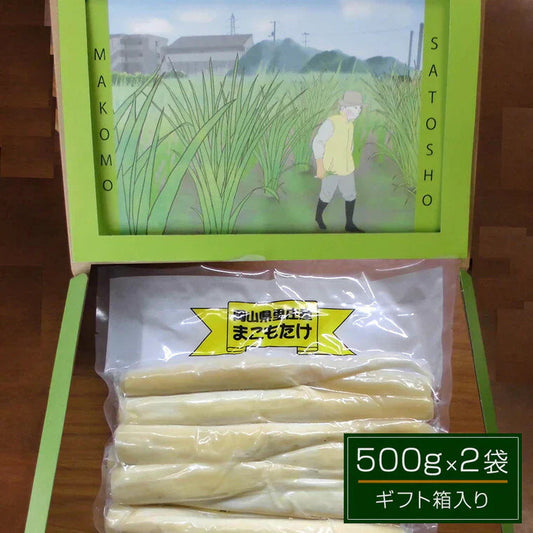岡山県里庄産 無農薬栽培 マコモタケ（まこもたけ）真空パック 500g×2袋 ギフト箱入り【送料込み】