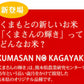 くまさんの輝き 無洗米 送料無料 計900g（300g×3袋） お試し 令和6年産 熊本県産 お米 白米 玄米 コシヒカリ ヒノヒカリ 森のくまさん