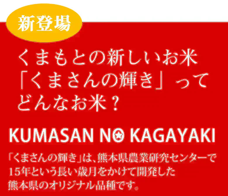 くまさんの輝き 無洗米 送料無料 計900g（300g×3袋） お試し 令和6年産 熊本県産 お米 白米 玄米 コシヒカリ ヒノヒカリ 森のくまさん