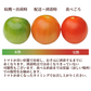【予約商品・2026年10月初旬ごろ順次発送～2027年2月末までに発送】国産！家計応援価格！規格外品 中～大玉トマト 約500g（最低300g以上）(2玉～6玉) 【カウシェファーム収穫対象商品】